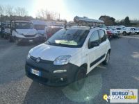 Fiat PANDA PANDA | Leggero Furgone > 35 q.li Altro | Borgo Agnello S.p.A.