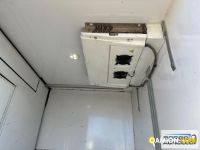 Iveco DAILY 70C17 DAILY 70C17 | Motrice Isotermico / coibentato | Borgo Agnello S.p.A.