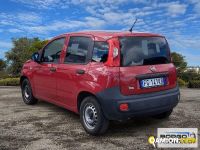 Fiat PANDA PANDA | Automobile Altro | Borgo Agnello S.p.A.