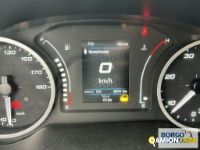 Iveco DAILY 35C14 DAILY 35C14 | Mezzi d'opera / mezzi da cantiere Altro | Borgo Agnello S.p.A.