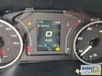 Iveco DAILY 35C14 DAILY 35C14 | Leggero Furgone > 35 q.li Altro | Borgo Agnello S.p.A.