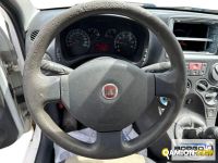 Fiat PANDA PANDA | Automobile Altro | Borgo Agnello S.p.A.