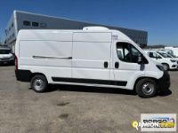 Fiat DUCATO DUCATO | Leggero Furgone > 35 q.li Altro | Borgo Agnello S.p.A.