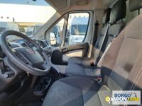 Fiat DUCATO DUCATO | Altro Isotermico / coibentato | Borgo Agnello S.p.A.