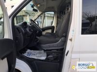 Fiat DUCATO DUCATO | Bus Minibus | Borgo Agnello S.p.A.