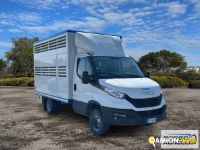 Iveco DAILY 35C14 DAILY 35C14 | Sollevamento e movimentazione Trasporto animali | Borgo Agnello S.p.A.