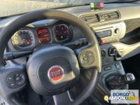 Fiat PANDA PANDA | Leggero Furgone > 35 q.li Altro | Borgo Agnello S.p.A.