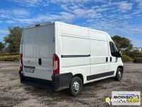 Peugeot BOXER BOXER | Leggero Furgone > 35 q.li Altro | Borgo Agnello S.p.A.