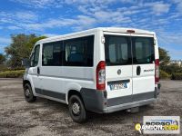 Fiat DUCATO DUCATO | Leggero Furgone > 35 q.li Altro | Borgo Agnello S.p.A.