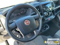 Fiat DUCATO DUCATO | Leggero Furgone > 35 q.li Altro | Borgo Agnello S.p.A.