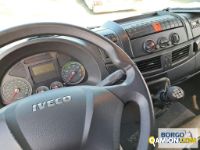 Iveco EUROCARGO ML120E22 P EUROCARGO ML120E22 P | Motrice Furgonato | Borgo Agnello S.p.A.