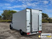 Fiat DUCATO DUCATO | Leggero Furgone > 35 q.li Altro | Borgo Agnello S.p.A.