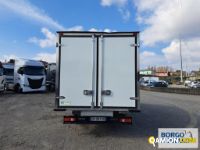 Iveco DAILY 35C16 DAILY 35C16 | Altro Isotermico / coibentato | Borgo Agnello S.p.A.