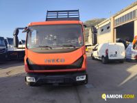 Iveco Eurocargo 80E19 Eurocargo 80E19 | PROCIDAMACCHINE S.R.L.