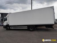 Man TGM 15.290 4X2 LL TGM 15.290 4X2 LL | PROCIDAMACCHINE S.R.L.