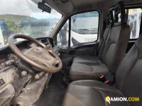 Iveco DAILY 35C13 DAILY 35C13 | PROCIDAMACCHINE S.R.L.