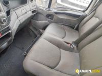 Iveco DAILY 35C13 DAILY 35C13 | PROCIDAMACCHINE S.R.L.