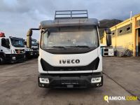 Iveco ML80E21K RIB ML80E21K RIB | PROCIDAMACCHINE S.R.L.