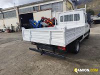 Iveco DAILY 35C13 DAILY 35C13 | PROCIDAMACCHINE S.R.L.