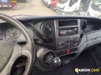 Iveco DAILY 35C13 DAILY 35C13 | PROCIDAMACCHINE S.R.L.