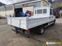 Iveco DAILY 35C13 DAILY 35C13 | PROCIDAMACCHINE S.R.L.