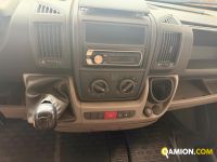 Fiat DUCATO - FURGONE DUCATO - FURGONE | MT AUTOCARRI SRL