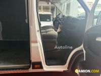 Citroen Jumper maxi euro6 Jumper maxi euro6 Altro | MT AUTOCARRI SRL