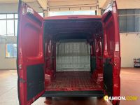 Fiat DUCATO - FURGONE DUCATO - FURGONE | MT AUTOCARRI SRL