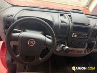 Fiat DUCATO - FURGONE DUCATO - FURGONE | MT AUTOCARRI SRL