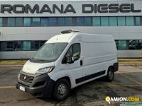 Fiat DUCATO ISOTERMICO | Leggero Cabinato <= 35 q.li Isotermico / coibentato | ROMANA DIESEL SPA