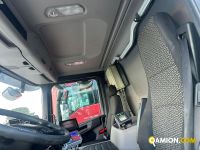 Scania P SERIES p320