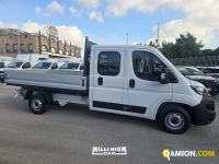 Fiat DUCATO DUCATO | Millenium Car
