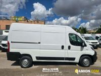 Fiat DUCATO DUCATO | Millenium Car
