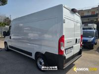 Fiat DUCATO DUCATO | Millenium Car