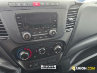 Iveco DAILY 35C14 DAILY 35C14 | Millenium Car