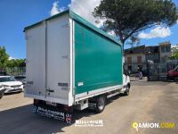 Iveco DAILY 35C12 - CASSONE DAILY 35C12 - CASSONE | Millenium Car