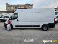 Fiat Ducato (4ª serie) Ducato (4ª serie) | Millenium Car