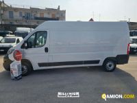 Fiat DUCATO DUCATO | Millenium Car