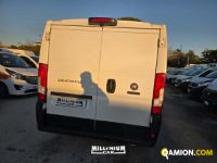 Fiat DUCATO DUCATO | Millenium Car
