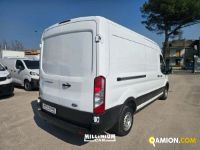 Ford TRANSIT - FURGONE TRANSIT - FURGONE | Millenium Car