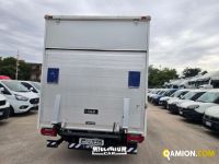 Iveco DAILY 35C14 DAILY 35C14 | Millenium Car