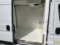 Fiat DUCATO DUCATO | Millenium Car