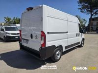 Fiat DUCATO DUCATO | Millenium Car