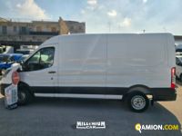 Ford TRANSIT - FURGONE TRANSIT - FURGONE | Millenium Car