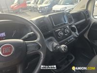 Fiat DUCATO DUCATO | Millenium Car