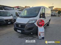 Fiat DUCATO DUCATO | Millenium Car