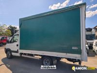 Iveco DAILY 35C12 - CASSONE DAILY 35C12 - CASSONE | Millenium Car