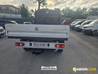 Fiat DUCATO DUCATO | Millenium Car