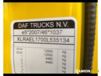 Daf LF FA 120 2017 DAF LF 230CV 120Q RIBALTABILE TRILATERALE CON GRU Altro | AUTO INDUSTRIALE BERGAMASCA SPA