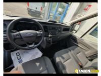 Ford Transit V363 FWD 2019 FORD TRANSIT CON CASSONE FISSO Altro | AUTO INDUSTRIALE BERGAMASCA SPA